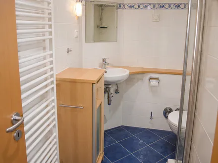 Komfortables Bad mit Dusche