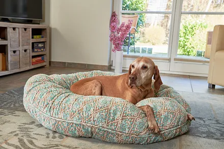 Auch der Vierbeiner hat Platz