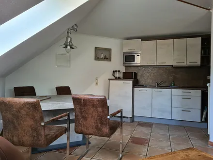 offene Küche,Geschirrspüler