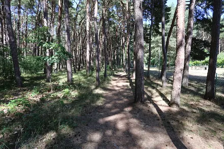 der Weg zum Sandstrand