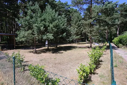 Ihr Garten, den Sie nur  mit der Dünenvilla  2 teilen