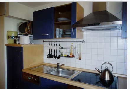 Küchenzeile mit Spülmaschine, Microwelle, Ceran-Kochfeld, Backofen u. v. m.