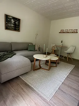 Wohnzimmer mit Schlaufcouch