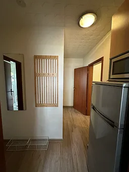 Flur von Küche zum Wohnzimmer links