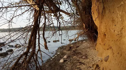 Natur Pur in der Umgebung