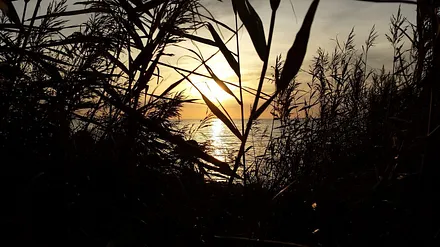 Bilder der näheren Umgebung