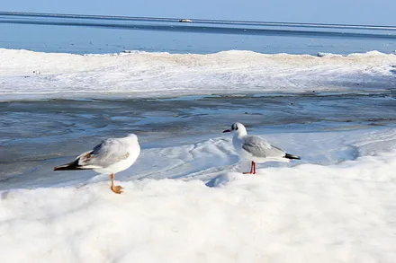 Winter am Nordstrand 