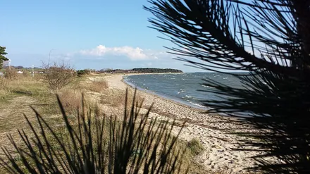 Bilder der näheren Umgebung