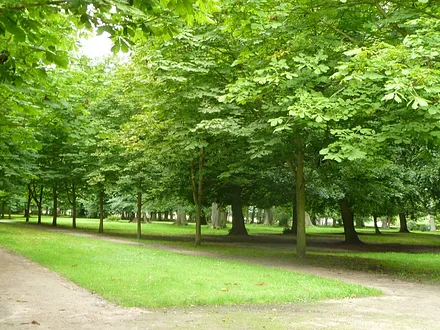 Im Kurpark Ostseebad Juliusruh