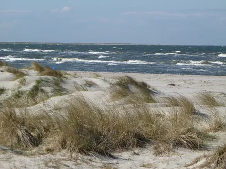 Am Strand des Ostseebads Prerow