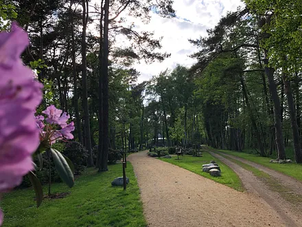 Im Kurpark von Prerow 