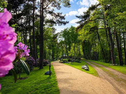 Im Kurpark von Prerow 