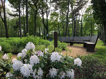 Im Kurpark von Prerow 