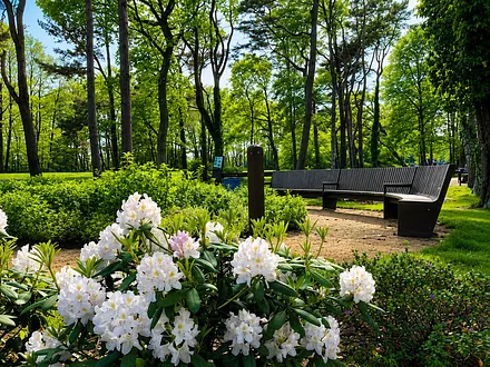 Im Kurpark von Prerow 
