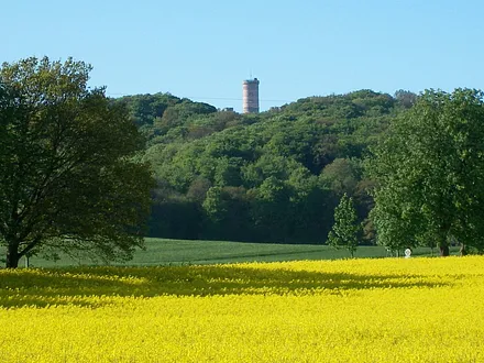 Jagdschloß Granitz ca. 2 km entfernt