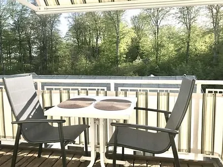 Blick zum Buchenwald, Südseite