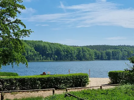 Der Wolgastsee,  ca. 80 Meter vor dem Waldhof 
