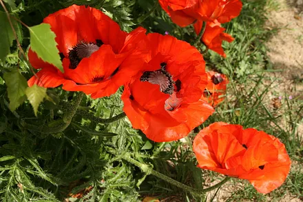 Kommen Sie und entdecken Sie unsere Kostbarkeiten.