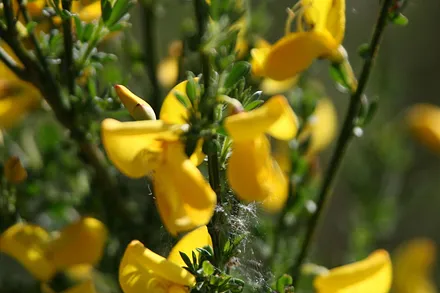 Kommen Sie und entdecken Sie unsere Kostbarkeiten.
