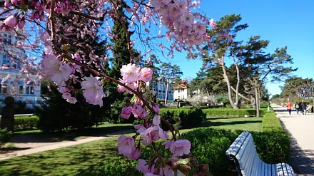 Die Promenade des Ostseebades Zinnowitz