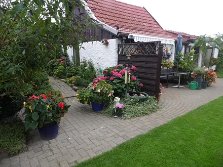 auf unseren Grundstück