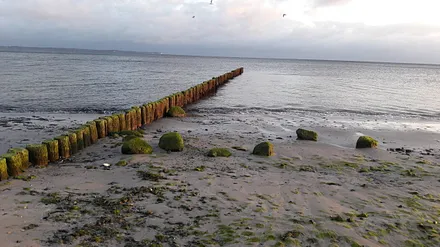 Ostsee bei Niedrigwasser