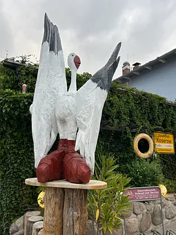 Möwe