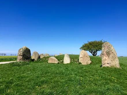 Stone had auf Rügen