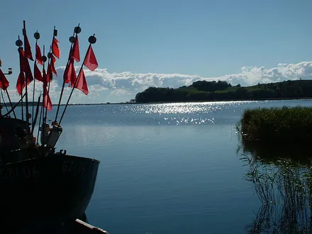 Die Boddenlandschaft gehört zu Rügen wie der Sand am Strand.