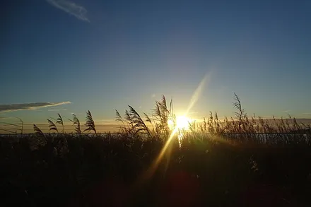 Ob Ostseestrand oder Bodden, in Dierhagen bieten sich alle Möglichkeiten für Naturliebhaber.