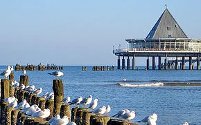 Usedom- Spatziergang am endlosen Sandstrand nach Heringsdorf