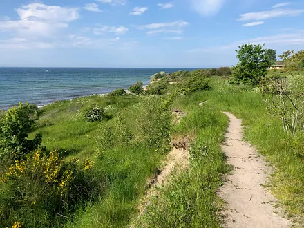 Unterwegs an der Steilküste 