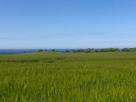 Ausblick auf die Ostsee