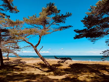 Waldweg nach Göhren
