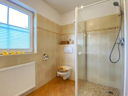 Toilette und ebenerdige Dusche