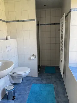 Bad Teilansicht Dusche