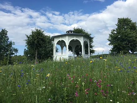 Blick aus der Wohnung in den Seepark 