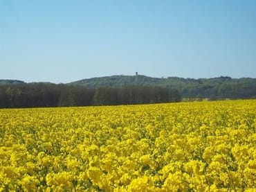 Insel Rügen
