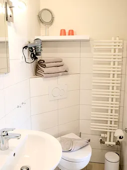 Detailansicht Bad - WC, Fön, Handtuchheizung