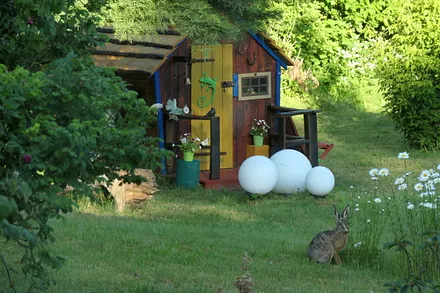Frühaufsteher werden belohnt mit seltenen Gartengästen