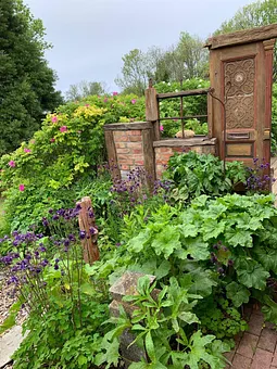 Zugang zur Terrasse und Eingangstür Seeigel