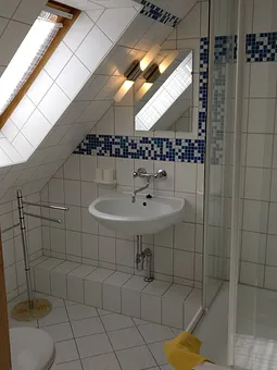 Blick ins Bad / Dusche mit Eckeinstieg 