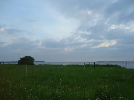 morgens Am Salzhaff