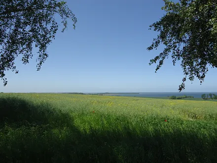 Salzhaff