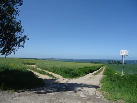 Salzhaff