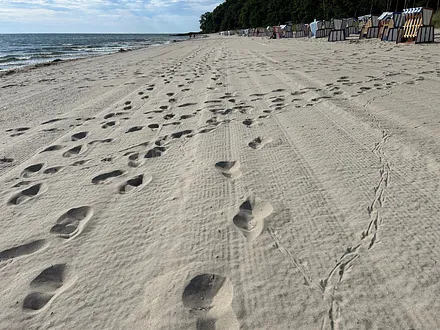 Barfuß im Sand den Ostseestrand genießen.
