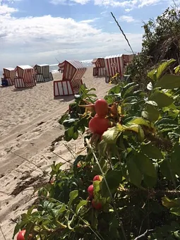 Badespaß am feinen Ostseestrand vor der Haustür