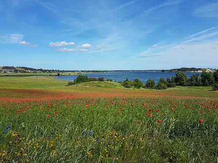 spannende Umgebung für Naturliebhaber