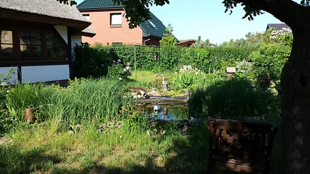 Blick auf den Gartenteich