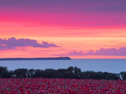 Der Frühsommer auf Rügen